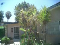 Pictures of recently trimmed trees