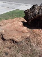 Grinding out a large Stump