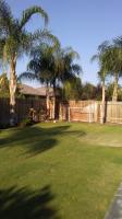 Pictures of recently trimmed trees