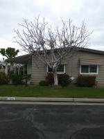 Pictures of recently trimmed trees